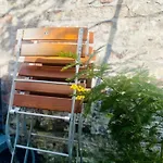 Daire Zehuus Gartenstudio Mit Terrasse Köln