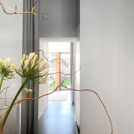 Zehuus Gartenstudio Mit Terrasse Apartment Cologne