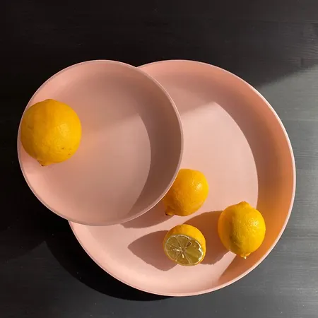 Zehuus Gartenstudio Mit Terrasse