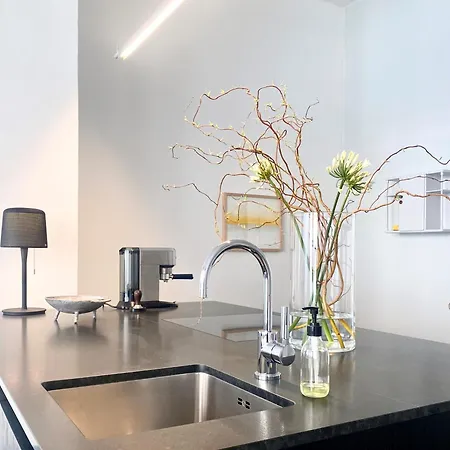 Zehuus Gartenstudio Mit Terrasse Apartment Cologne