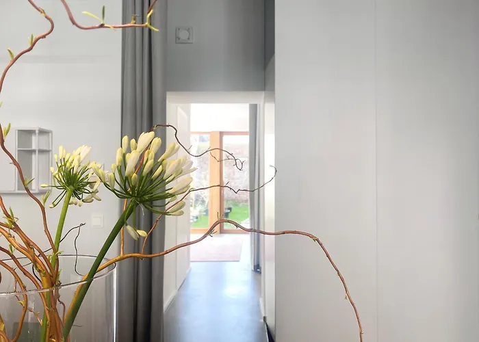 Zehuus Gartenstudio Mit Terrasse Apartamento Colónia