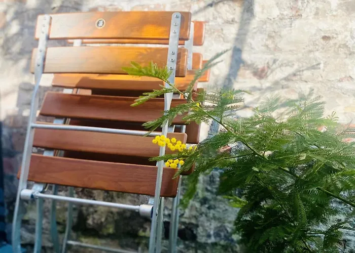 Lejlighed Zehuus Gartenstudio Mit Terrasse Köln