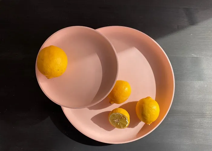 Zehuus Gartenstudio Mit Terrasse