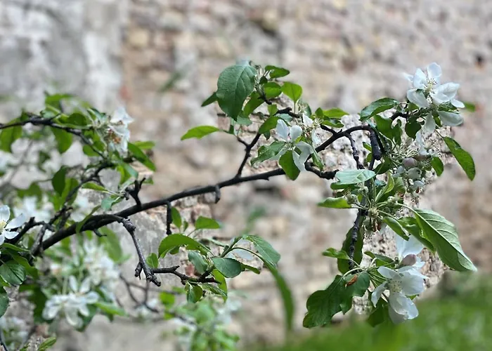 Apartamento Zehuus Gartenstudio Mit Terrasse