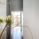 Zehuus Gartenstudio Mit Terrasse Lejlighed Köln