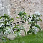 Lejlighed Zehuus Gartenstudio Mit Terrasse