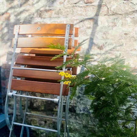 Apartamento Zehuus Gartenstudio Mit Terrasse Colonia