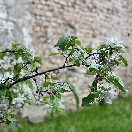Διαμέρισμα Zehuus Gartenstudio Mit Terrasse